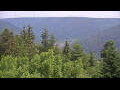 Webcam Bad Wildbad