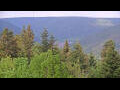 Webcam Bad Wildbad