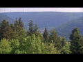 Webcam Bad Wildbad