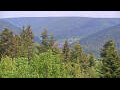 Webcam Bad Wildbad