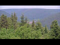 Webcam Bad Wildbad