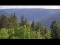 Webcam Bad Wildbad