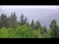 Webcam Bad Wildbad