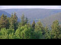 Webcam Bad Wildbad