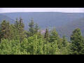 Webcam Bad Wildbad