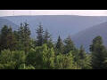 Webcam Bad Wildbad