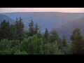 Webcam Bad Wildbad