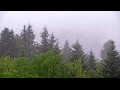 Webcam Bad Wildbad