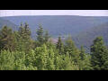 Webcam Bad Wildbad