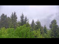 Webcam Bad Wildbad