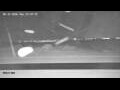 Webcam Norden