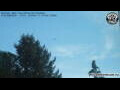 Webcam Neumarkt i.d.OPf.