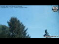 Webcam Neumarkt i.d.OPf.