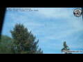 Webcam Neumarkt i.d.OPf.