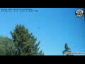 Webcam Neumarkt i.d.OPf.