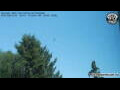 Webcam Neumarkt i.d.OPf.