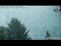 Webcam Neumarkt i.d.OPf.