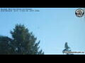 Webcam Neumarkt i.d.OPf.