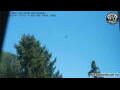 Webcam Neumarkt i.d.OPf.