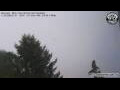 Webcam Neumarkt i.d.OPf.