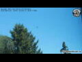 Webcam Neumarkt i.d.OPf.