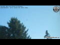 Webcam Neumarkt i.d.OPf.