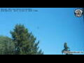 Webcam Neumarkt i.d.OPf.
