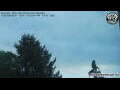 Webcam Neumarkt i.d.OPf.