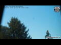 Webcam Neumarkt i.d.OPf.