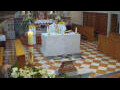 Webcam Jelsa (Hvar)