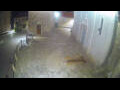 Webcam Jelsa (Hvar)