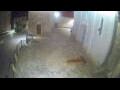 Webcam Hvar - Jelsa