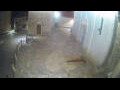 Webcam Jelsa (Hvar)