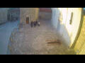 Webcam Jelsa (Hvar)