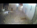 Webcam Jelsa (Hvar)