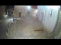 Webcam Jelsa (Lesina)