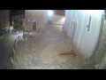 Webcam Jelsa (Lesina)