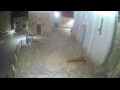 Webcam Jelsa (Hvar)