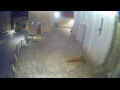 Webcam Jelsa (Lesina)