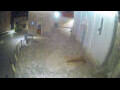 Webcam Jelsa (Lesina)