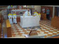 Webcam Jelsa (Lesina)