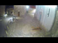 Webcam Jelsa (Hvar)