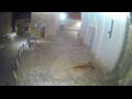 Webcam Jelsa (Hvar)
