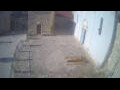 Webcam Jelsa (Hvar)