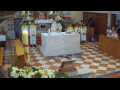 Webcam Jelsa (Hvar)