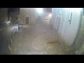 Webcam Hvar - Jelsa
