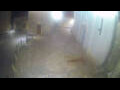 Webcam Jelsa (Hvar)