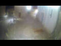 Webcam Hvar - Jelsa