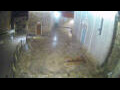 Webcam Jelsa (Hvar)