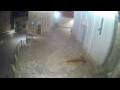 Webcam Jelsa (Hvar)